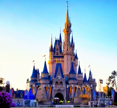 Adult trips and Family trips to Walt Disney World in Orlando, Florida